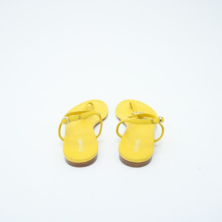 image_9e43ecde-6b90-4ea9-a1f2-9207a4310b32