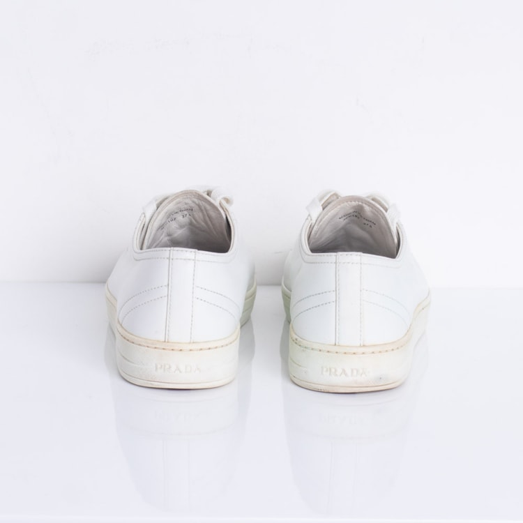 image_51bf9747-e9a5-4046-ba0d-b44e61dfdfc5